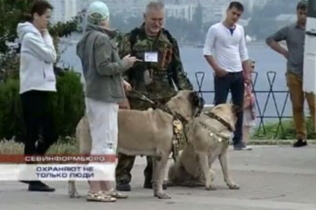 В России за 'возвращение Крыма' награждают даже собак