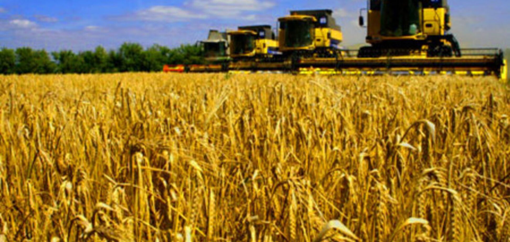 Правительство решает проблемы наполнения бюджета за счет АПК