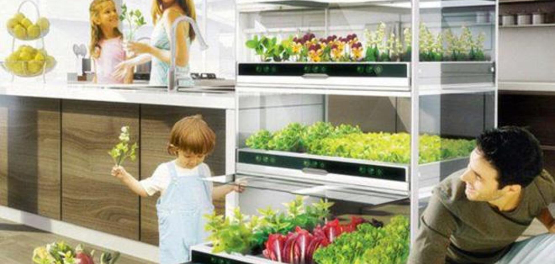 Огород с овощами и зеленью можно встроить прямо в кухню
