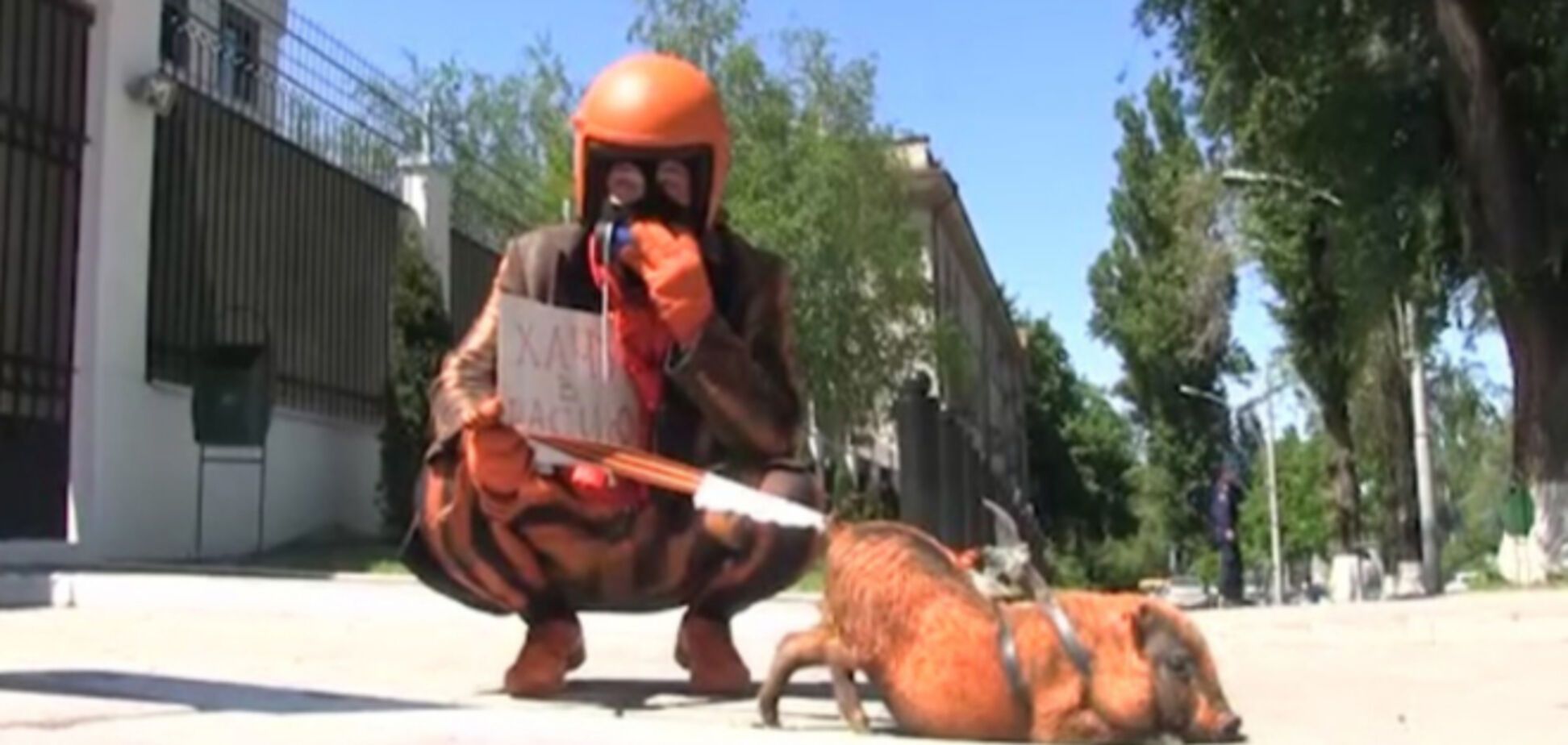 До посольства РФ в Молдові привели 'колорадську свиню'. Фотофакт