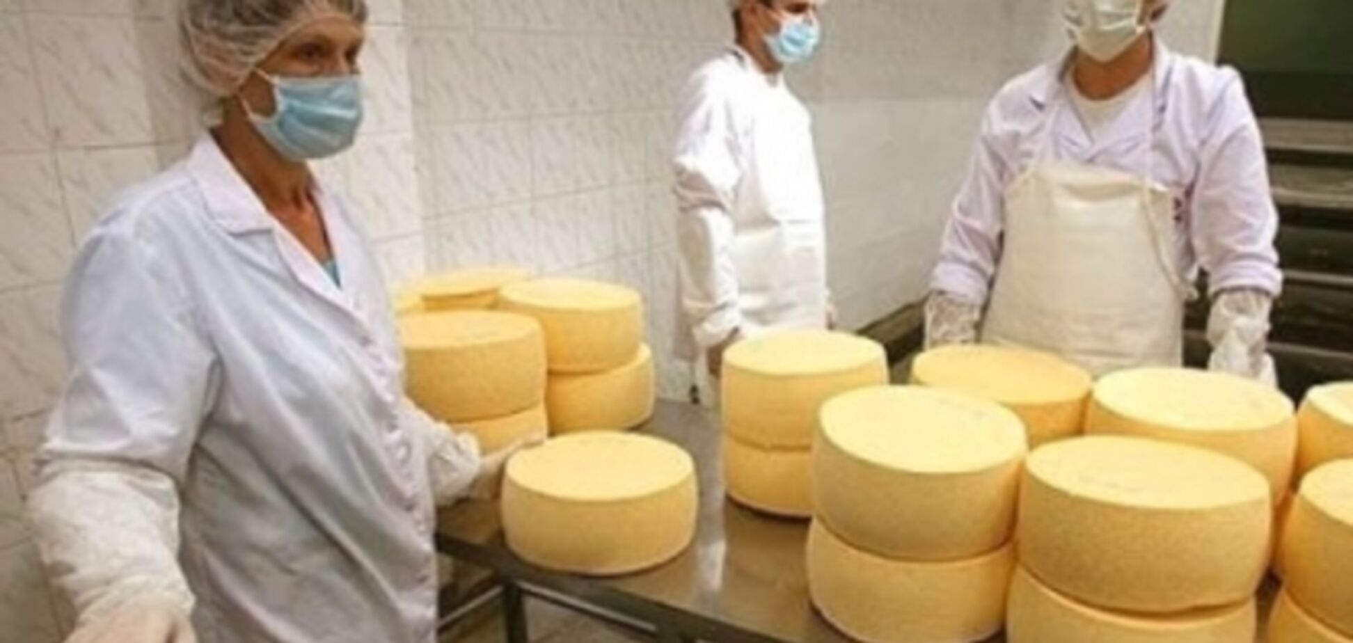 В Россельхознадзоре утверждают, что в одной из партий украинского сыра была кишечная палочка