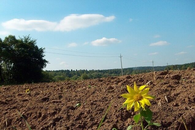 У сфері природних ресурсів 'свободівці' проводять політику націоналізації - думка