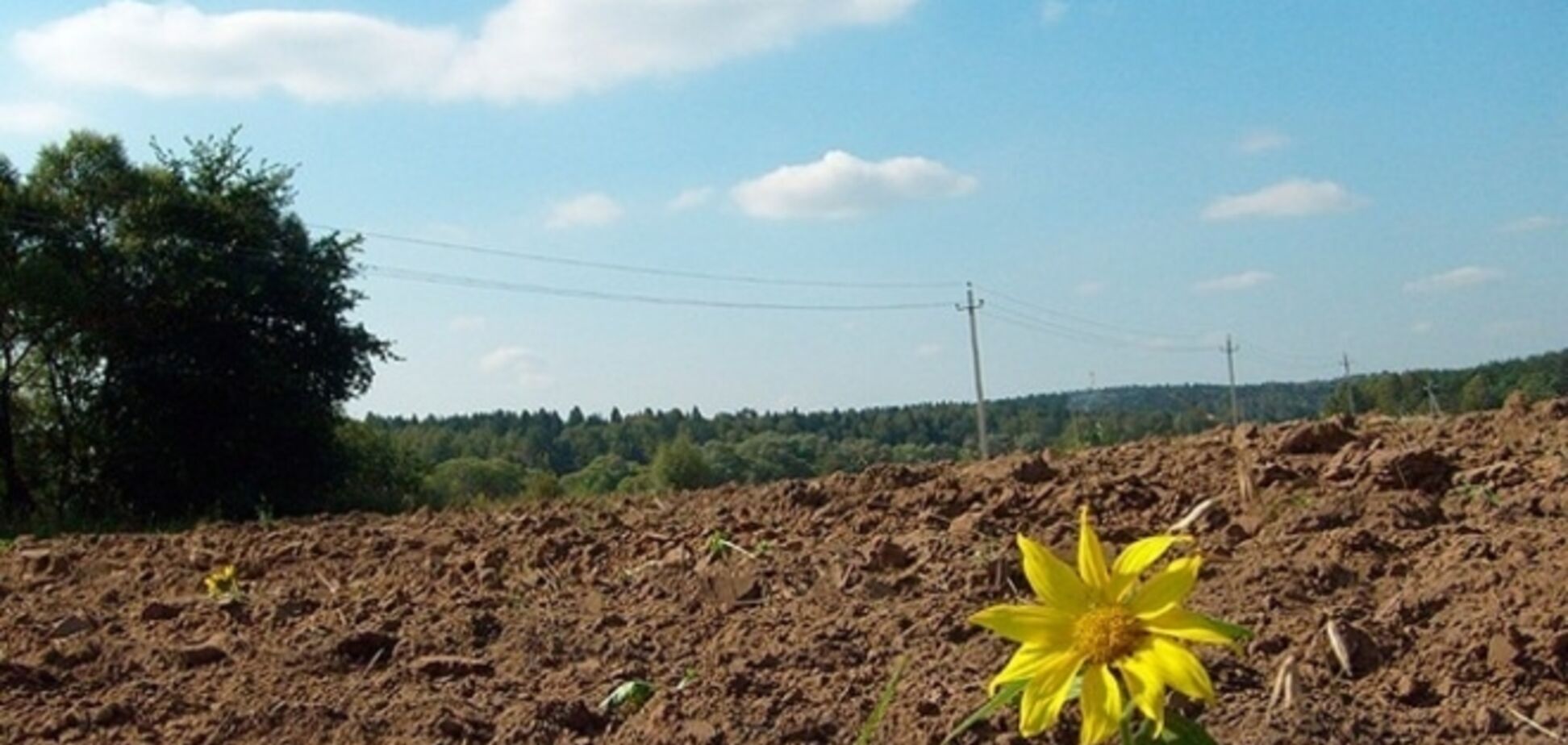 У сфері природних ресурсів 'свободівці' проводять політику націоналізації - думка