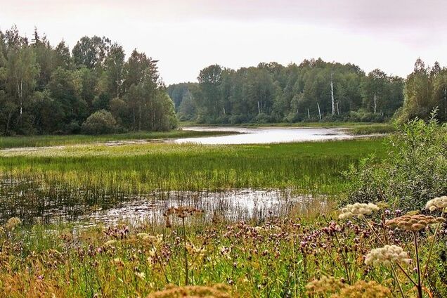 На выходных в Украине будет прохладно