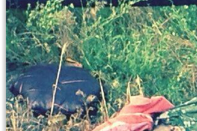 В Счастье тела террористов лежат на дороге, забрать некому – журналистка