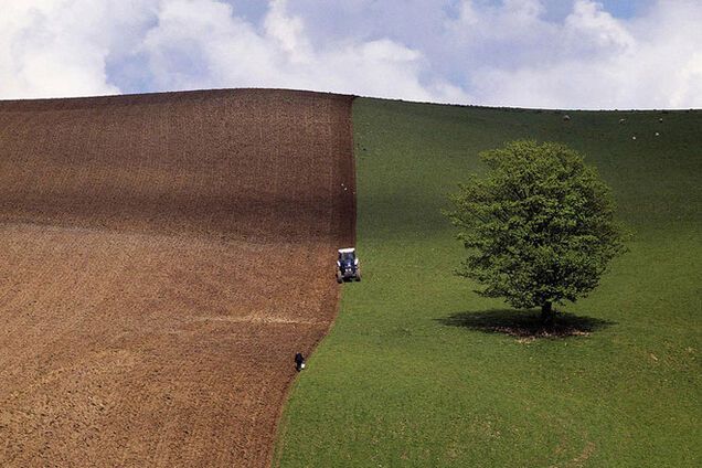 Рада ликвидировала Государственный земельный банк