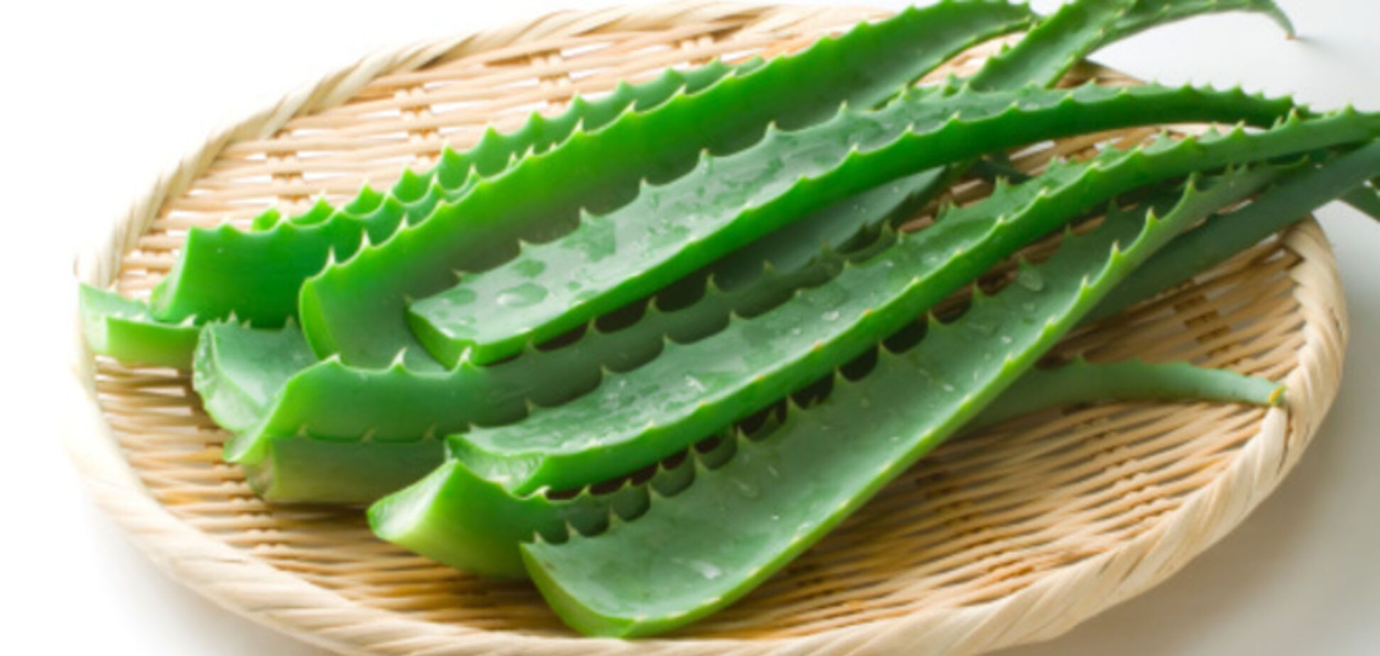 Крапива и алоэ — лучшие друзья молодости