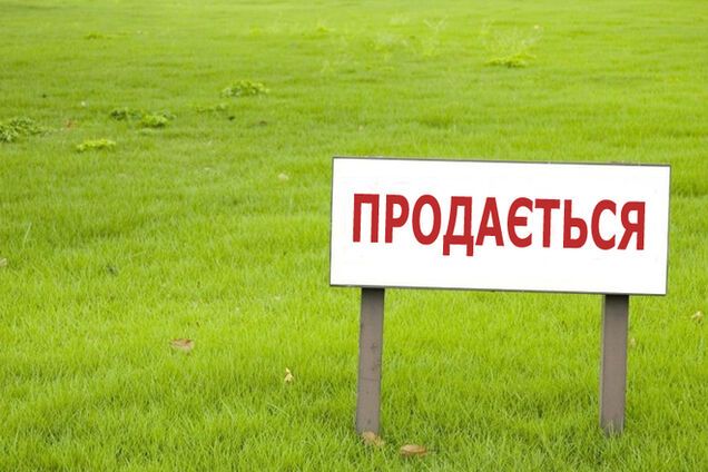 Жителям аннексированного Крыма землю будут раздавать через аукцион