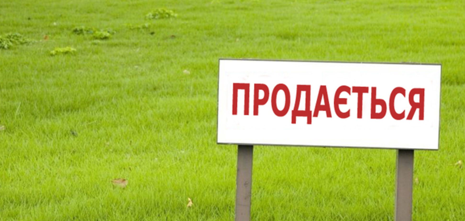 Жителям аннексированного Крыма землю будут раздавать через аукцион