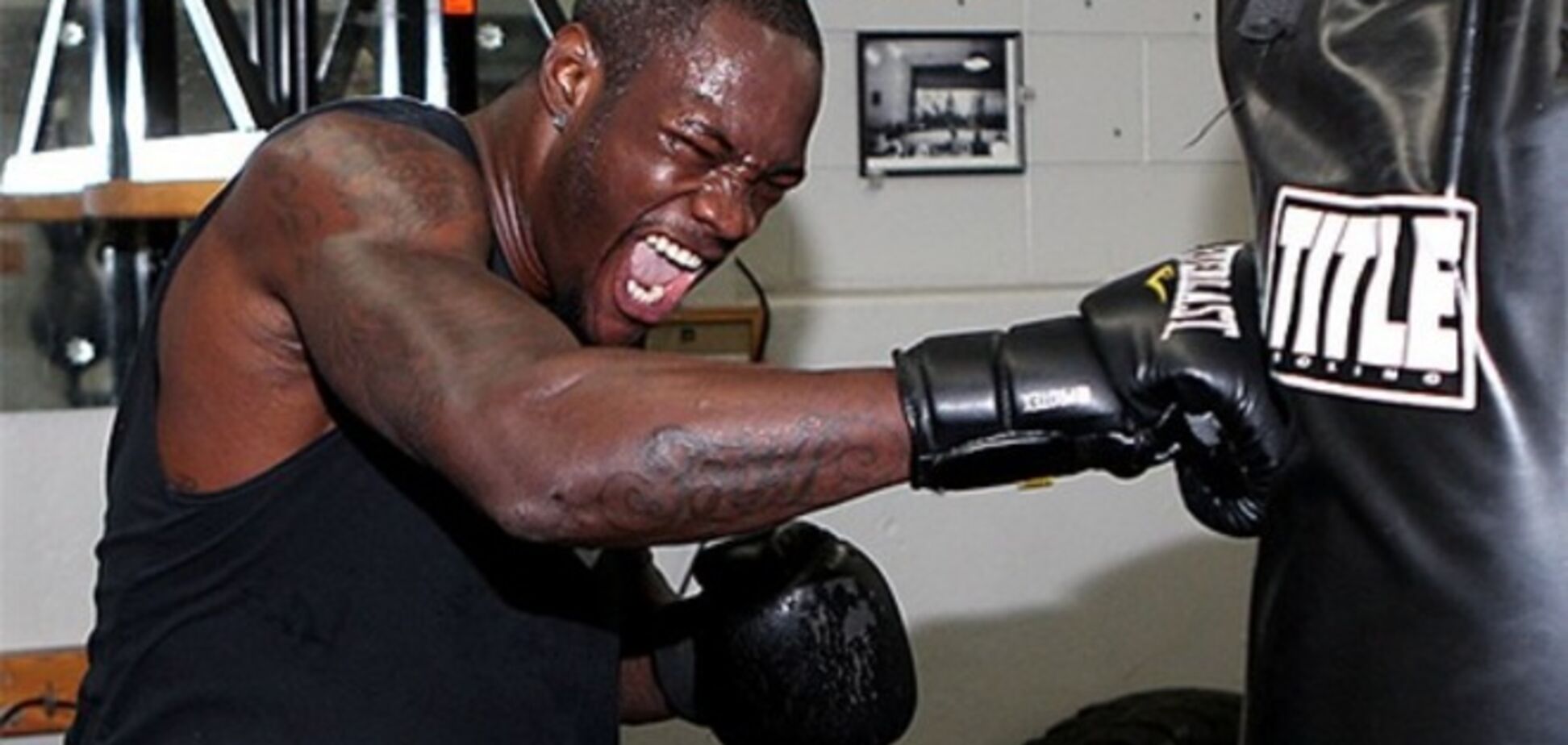 Уайлдер намерен нокаутировать Стиверна в первом раунде