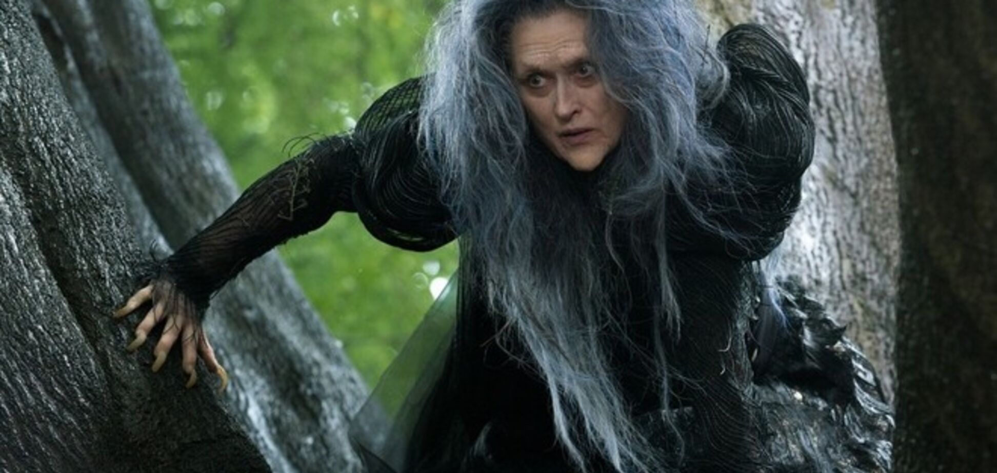 Мэрил Стрип сыграет оперную певицу Марию Каллас