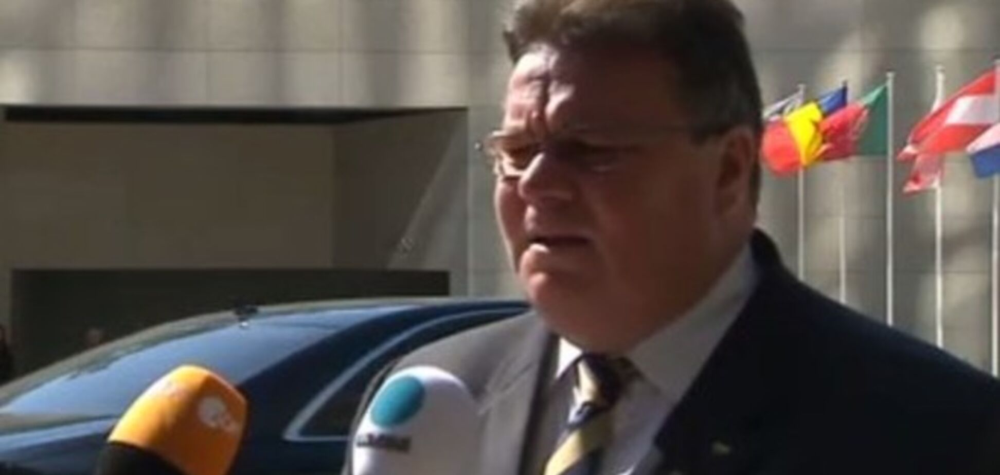 Глава МЗС Литви розцінив збитий вертоліт АТО як наслідок поставок зброї з Росії