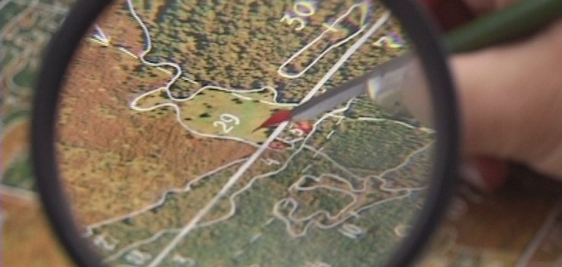 Почему Швайка 'крышует' скандального ректора?