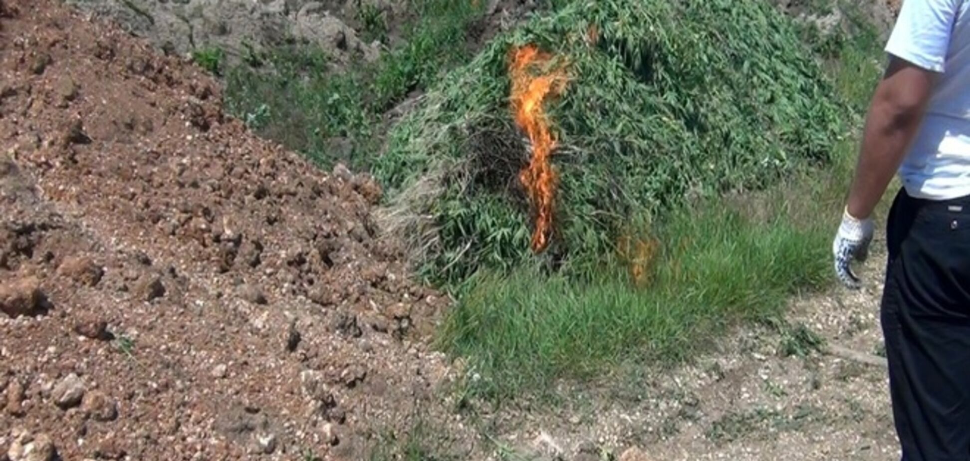 В Симферополе горела конопля