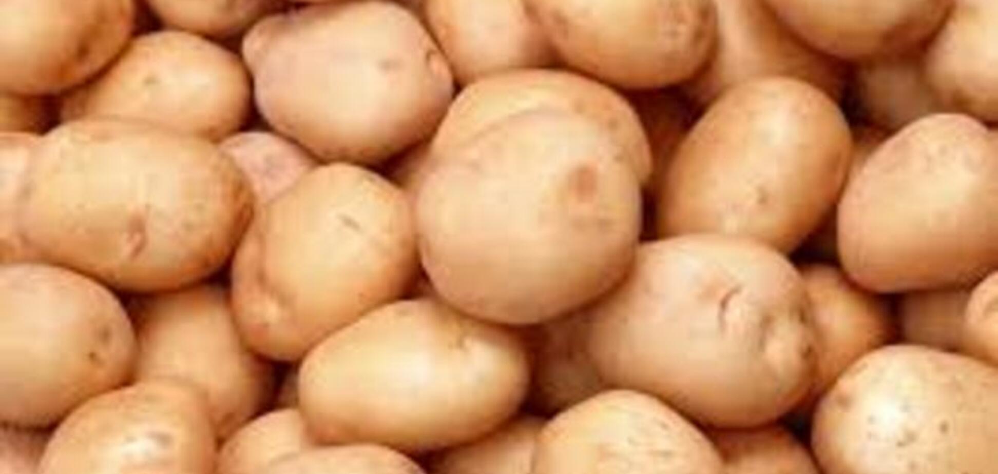 Росія порахувала українська картопля шкідливим для здоров'я своїх громадян