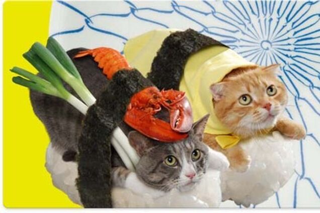 Котосуши покорили Японию