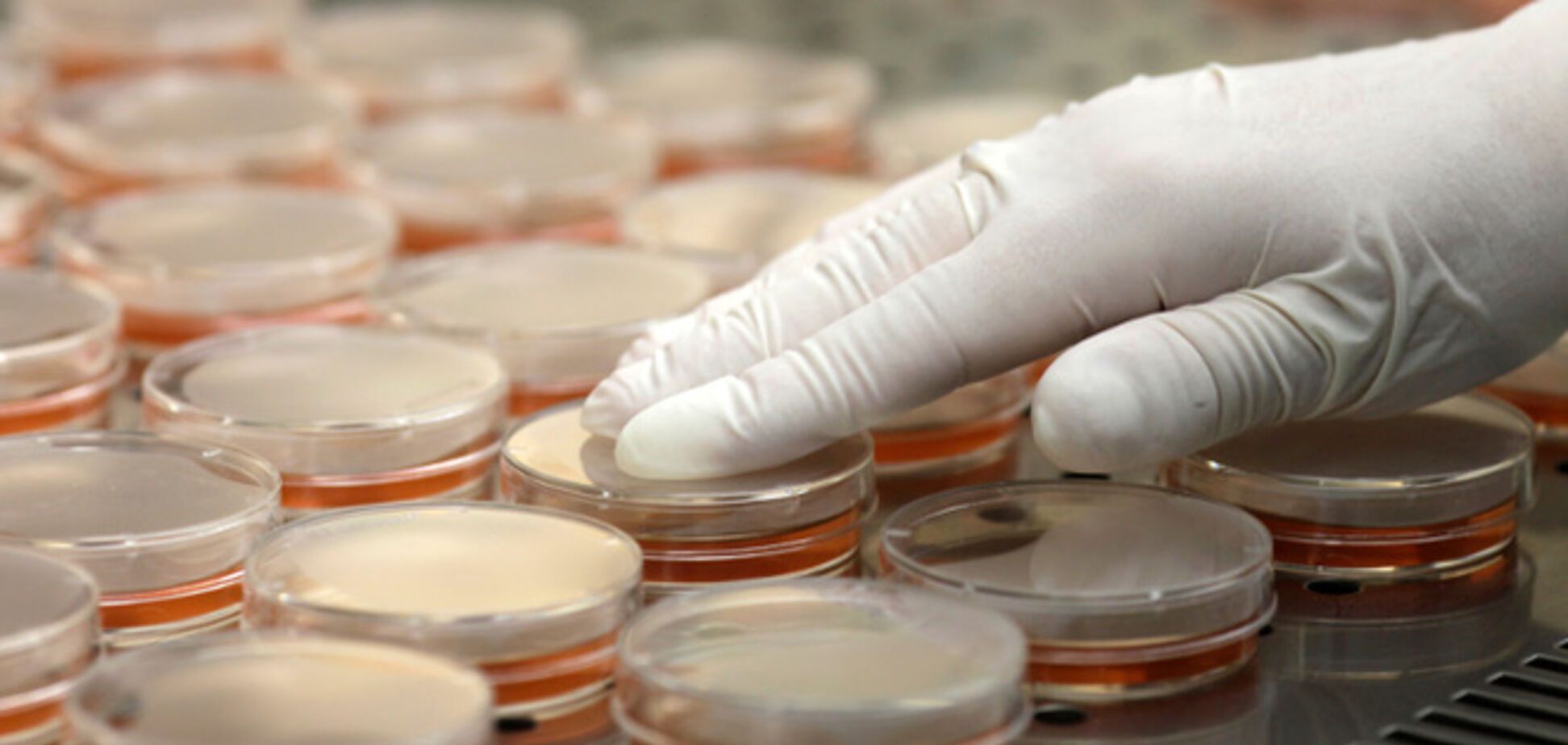 Из американских лабораторий 'сбежали' смертельноопасные бактерии и вирусы