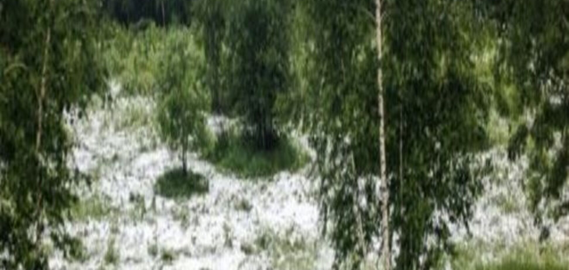 В Челябинской области летом выпал снег