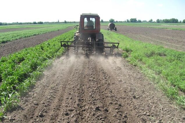 В Крыму намерены ввести мораторий на продажу с/х земель