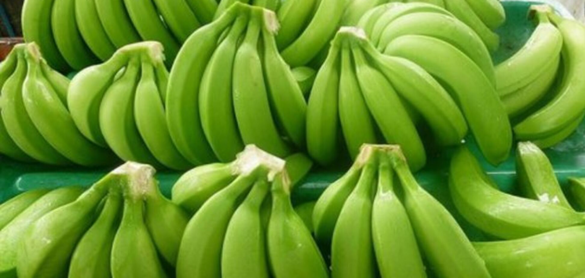 Диетологи раскрыли необычное свойство зеленых бананов