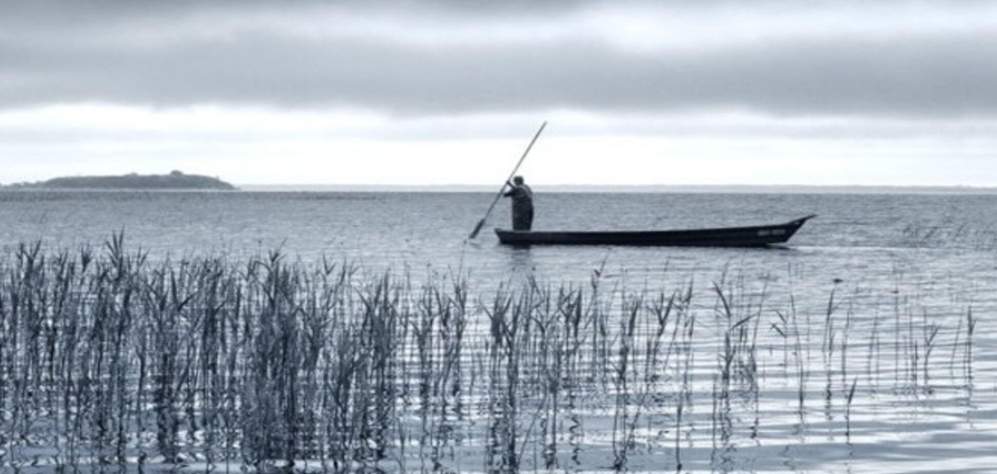 Wikimedia отобрала лучшие снимки украинской природы