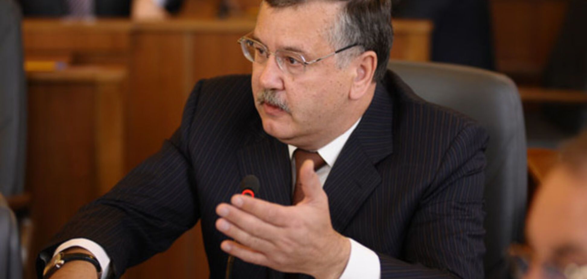 Гриценко объяснил целесообразность введения военного положения в зоне АТО