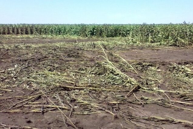 Пограничники получили очередные доказательства пересечения российскими 'Градами' границы с Украиной