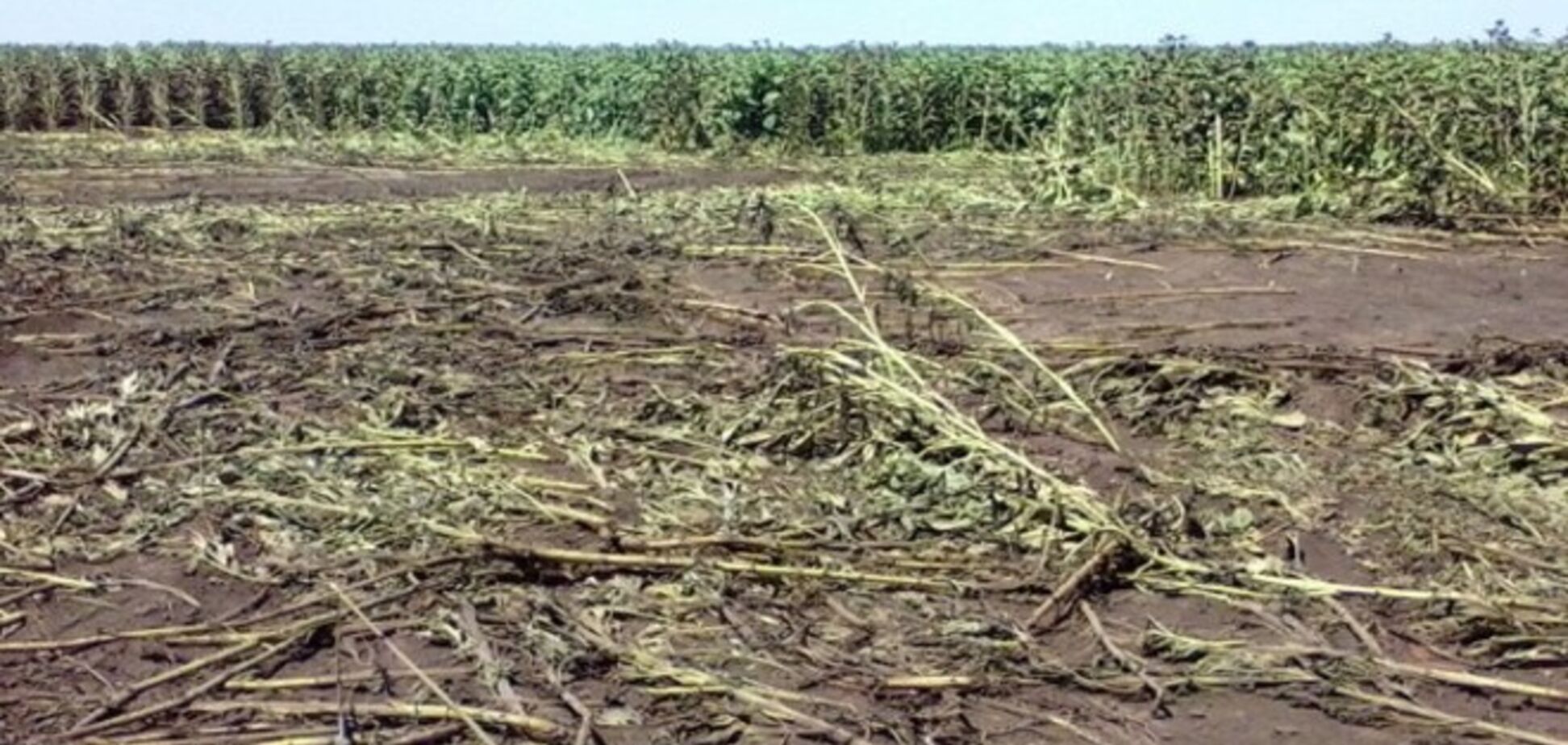 Пограничники получили очередные доказательства пересечения российскими 'Градами' границы с Украиной