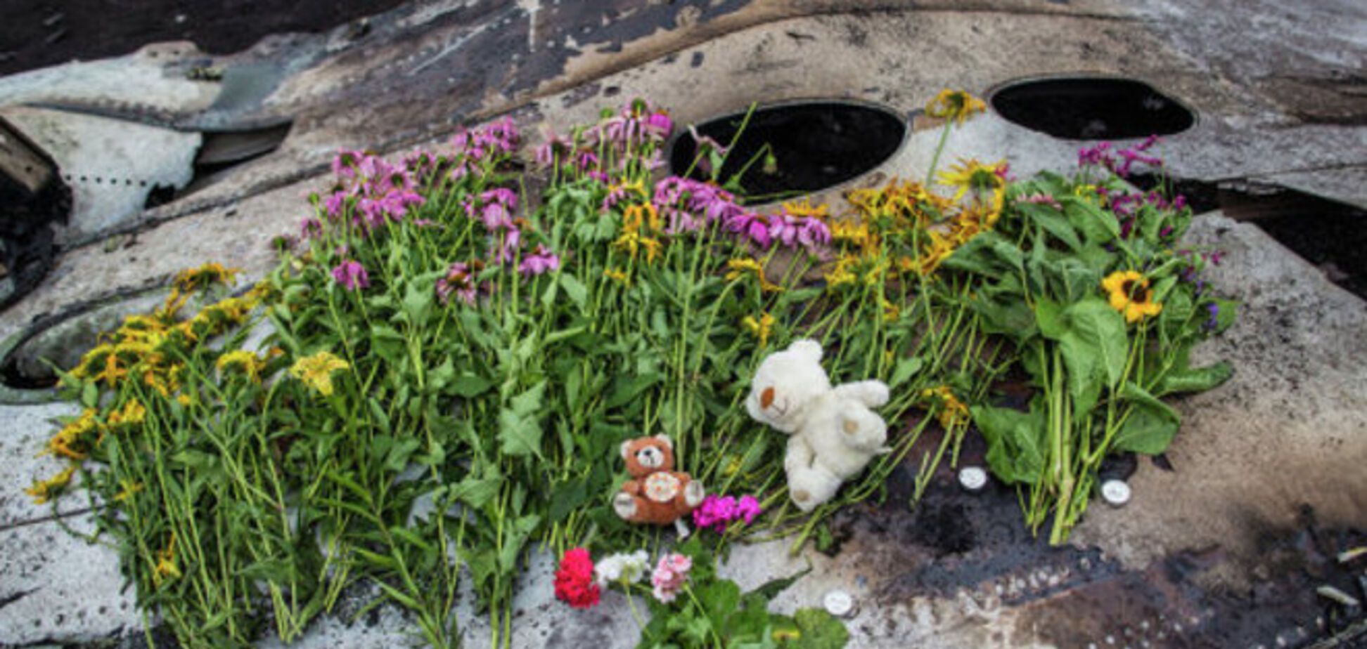 Нидерланды из-за гибели Boeing-777 завели дело о военных преступлениях