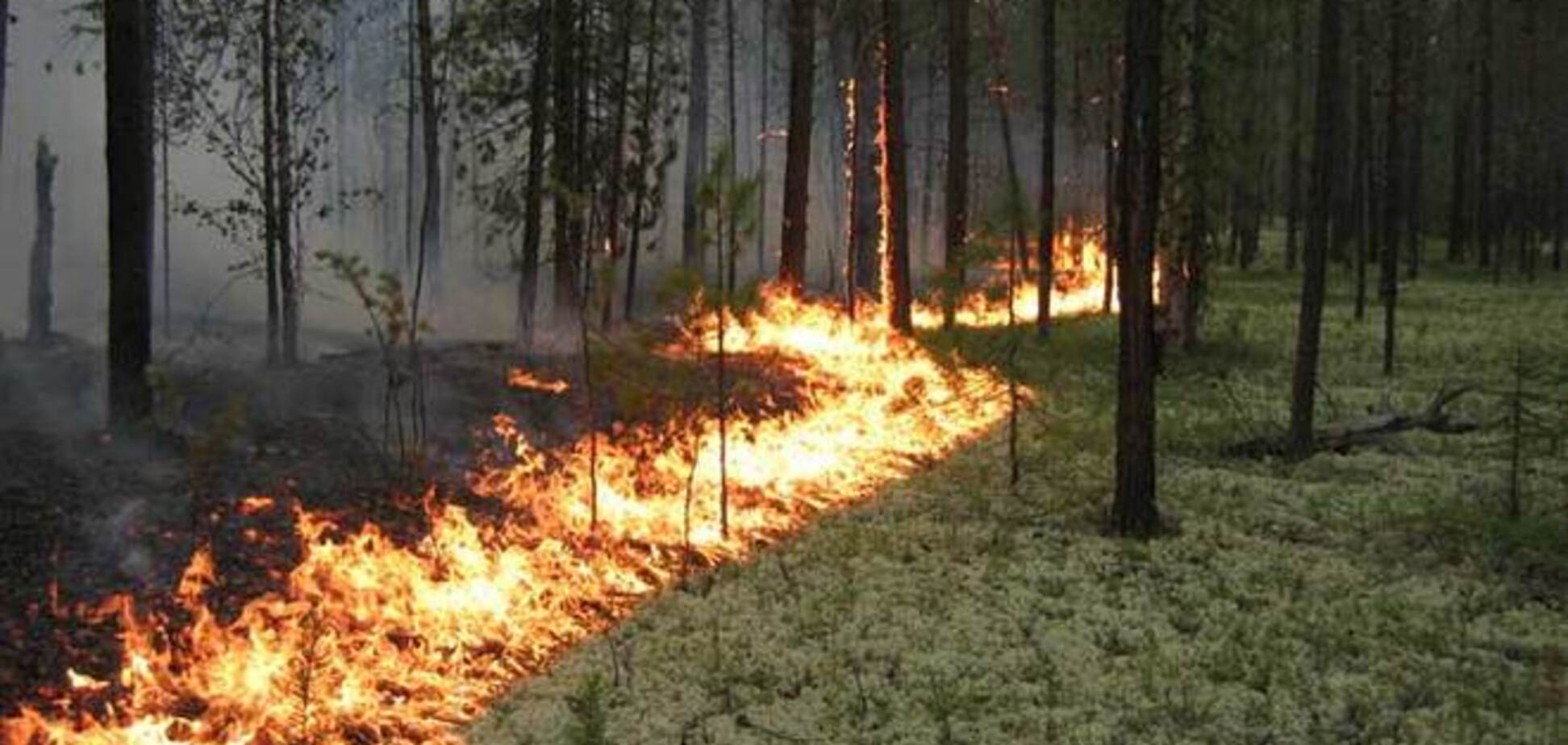 Смертельная жизнь огня, пожирающего Украину