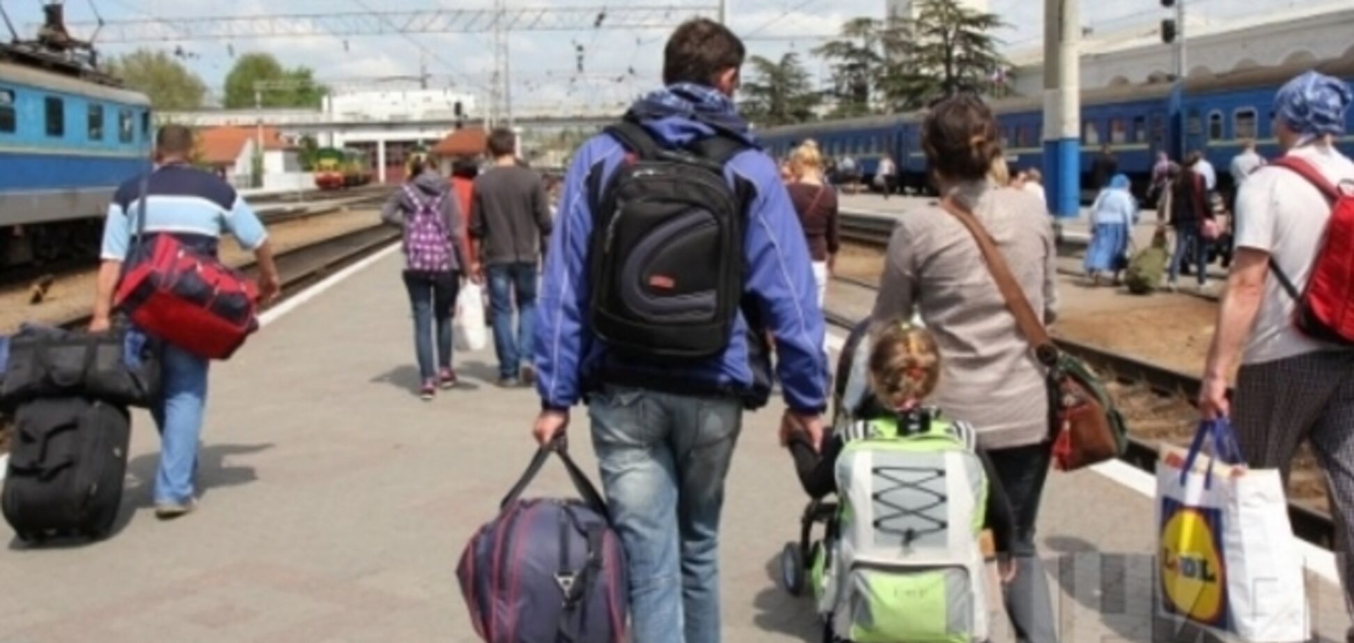 Губернатор Киевщины пожаловался на нежелающих работать беженцев