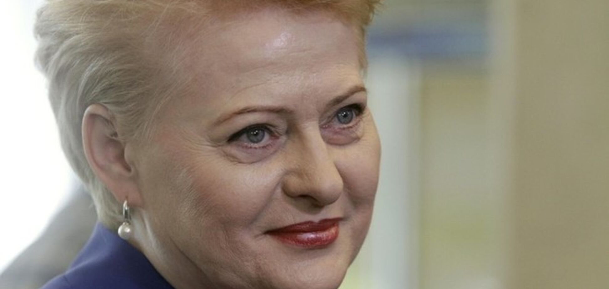 Литва собралась ввести санкции в отношении россиян из-за ситуации в Украине