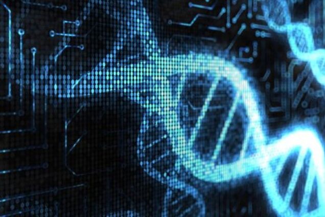 В израильской военной разведке создано спецподразделение аутистов