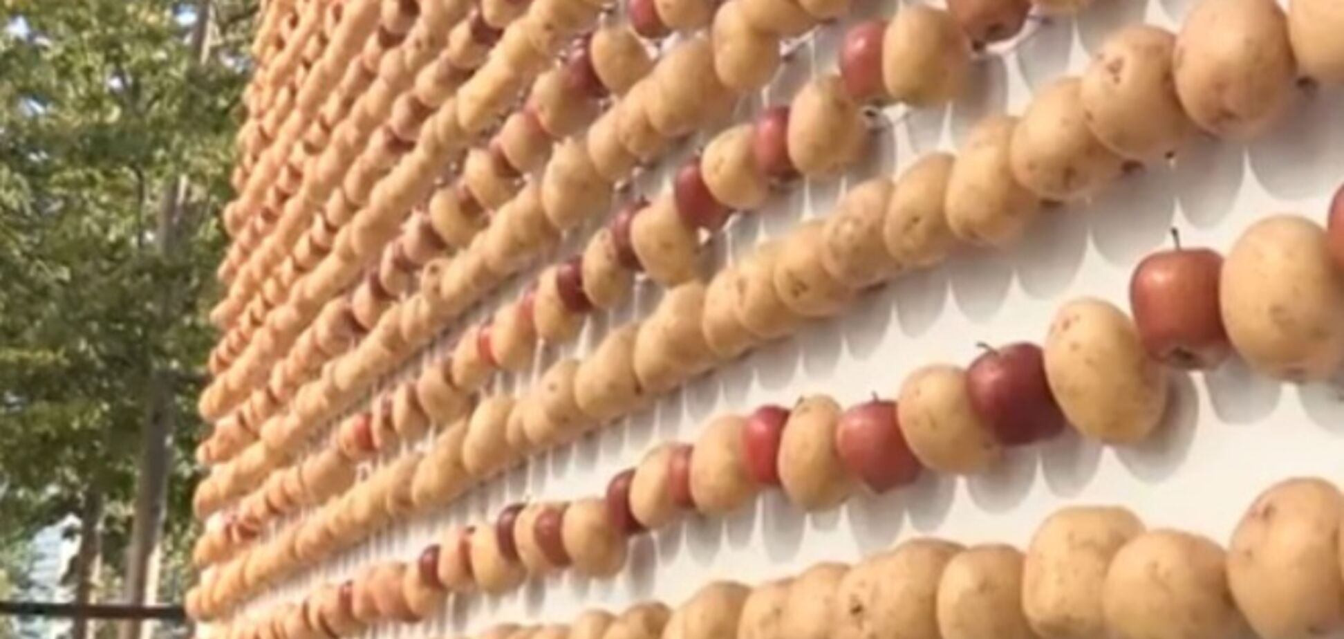 Microsoft зарядила смартфон с помощью картошки и яблок