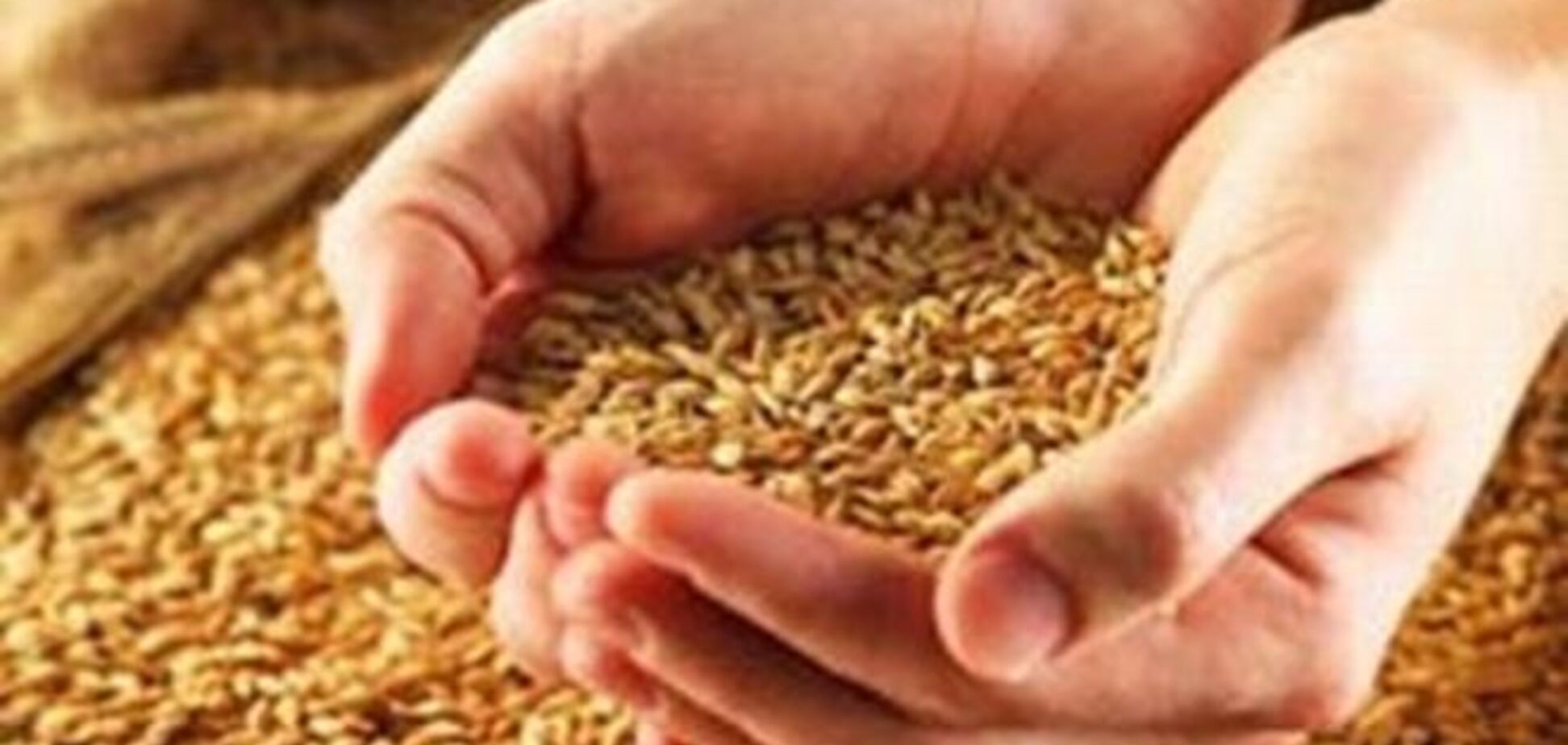 Украина вошла в тройку крупнейших мировых экспортеров зерна