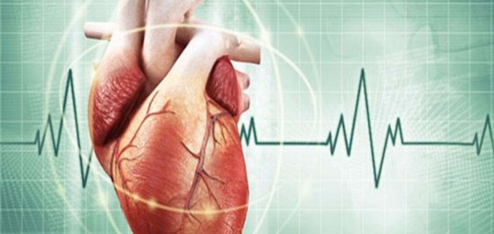 17 удивительных научных фактов о человеческом сердце