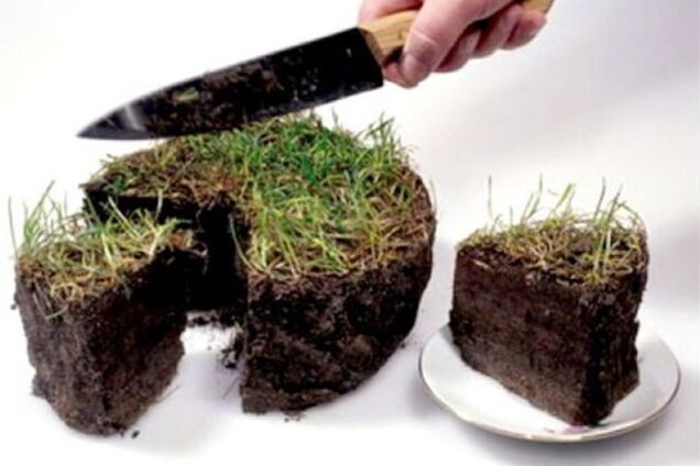 Стоимость земли на Киевщине упала на 32%