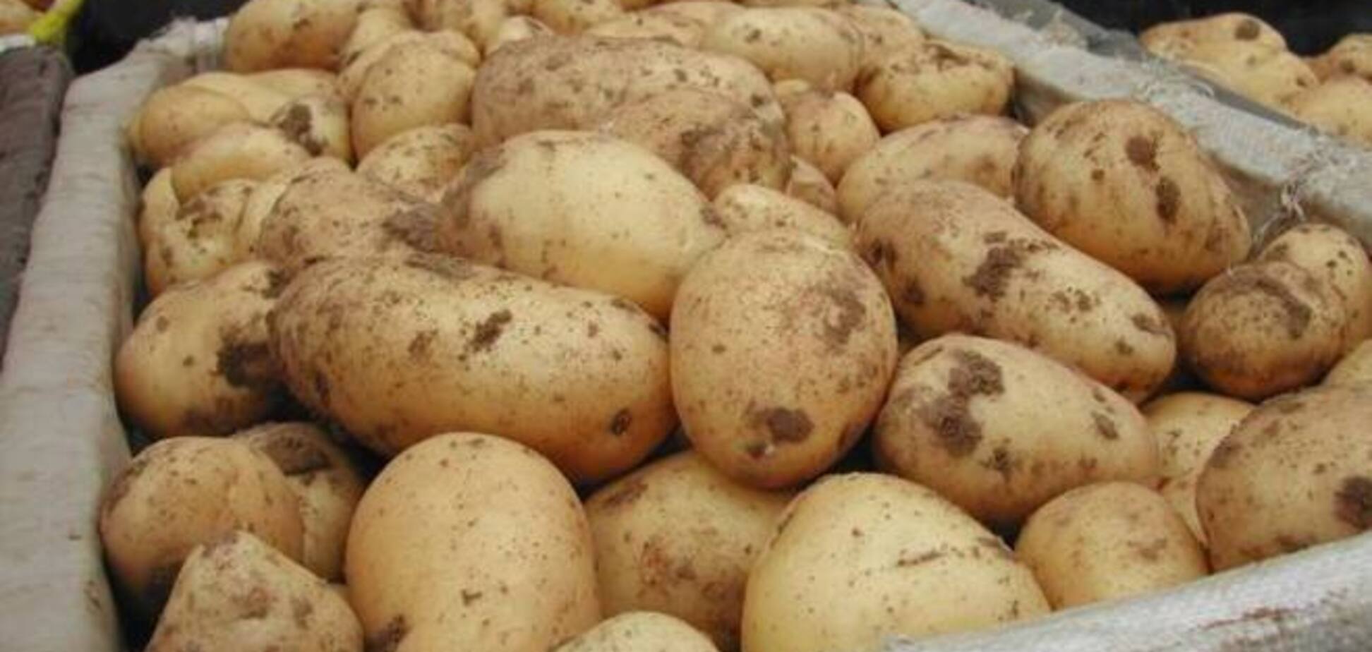Беларусь сняла ограничения на ввоз украинского картофеля