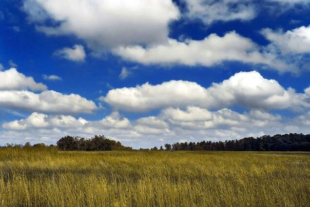 Во вторник в Украине будет теплая погода