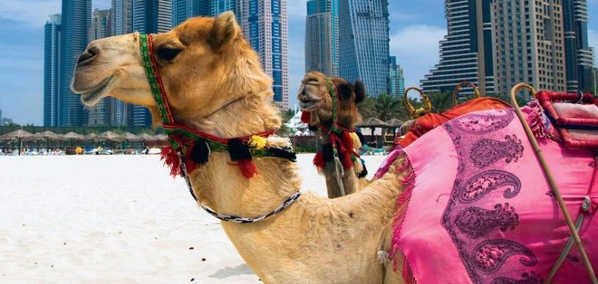 Туристу на заметку: как вести себя в арабских странах