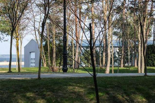 Лес Януковича в Сухолучье суд вернул государству