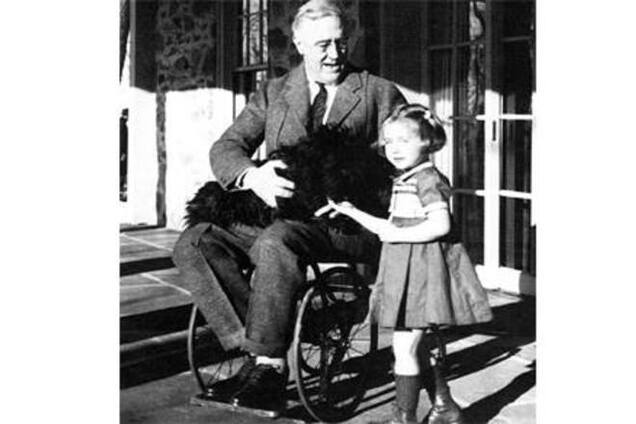 Не все золото, что блестит