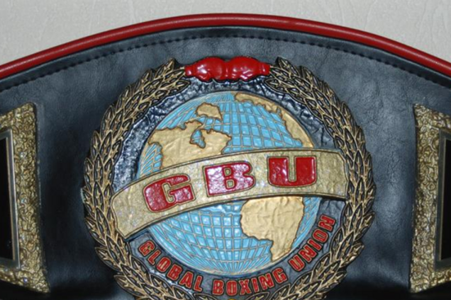 Чемпионский пояс Алины Шатерниковой в поддержку АТО продали за 20 тысяч