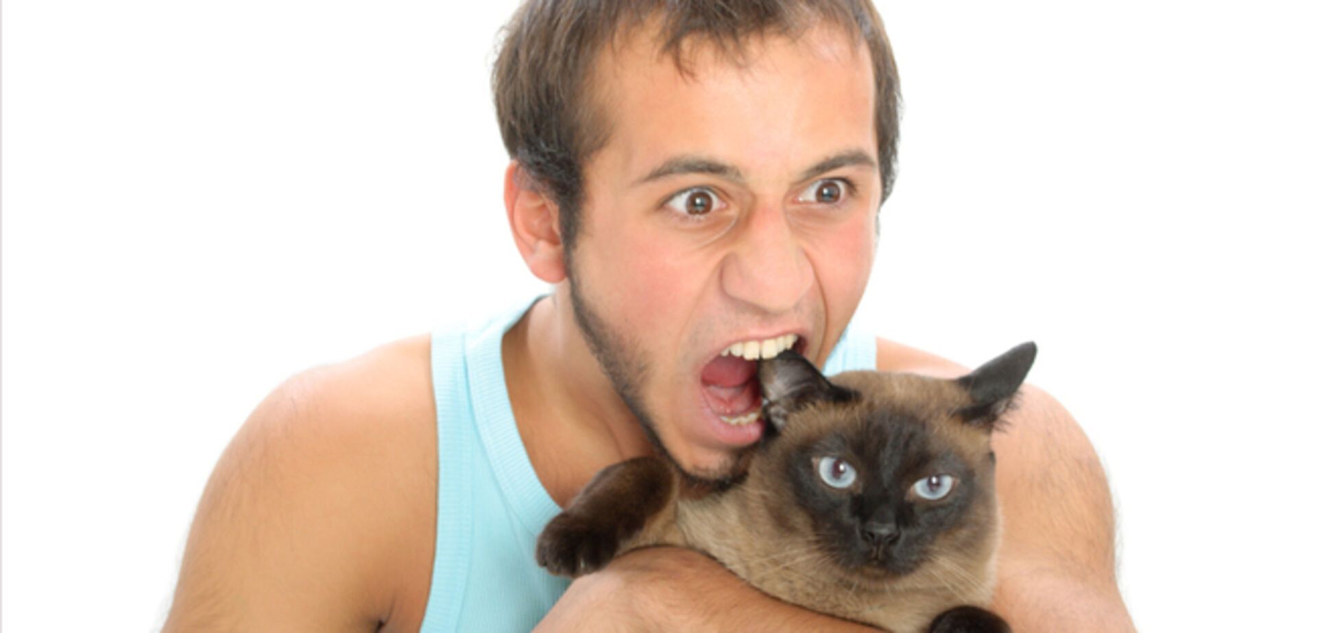 Жителей Крыма обяжут регистрировать своих квартирантов