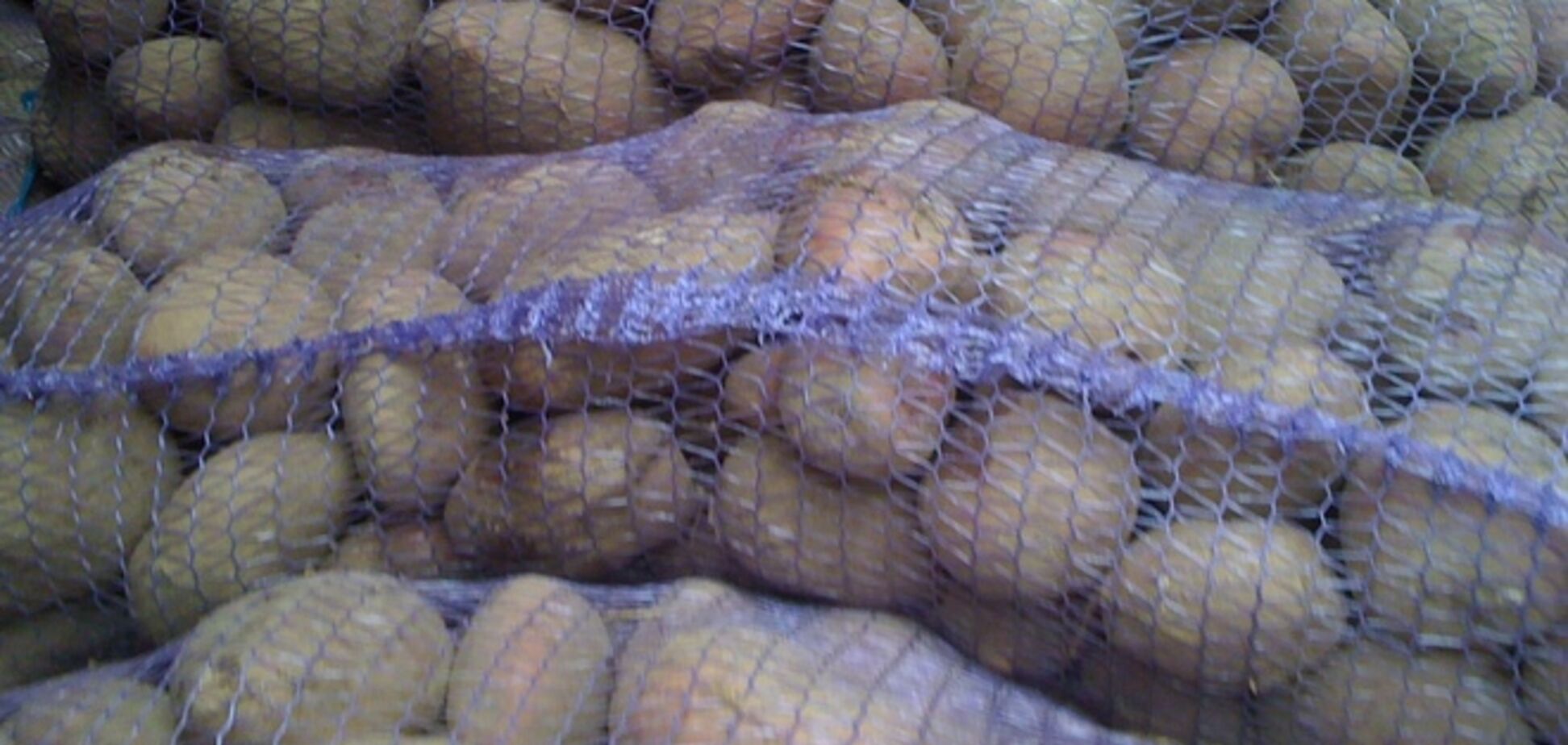 Беларусь заявила о готовности тоннами поставлять картошку в РФ