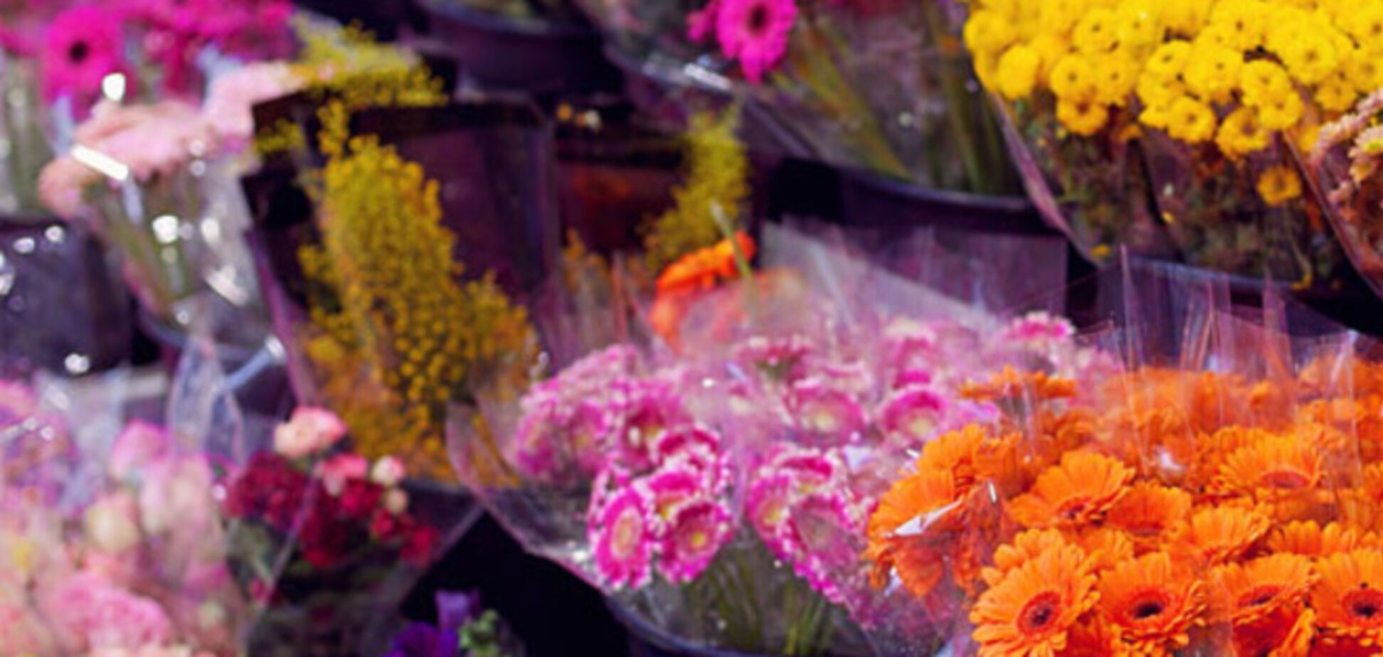 Источник: кандидат на руководящую должность в Государственной фискальной службе оформлял все импортные цветы через свою фирму