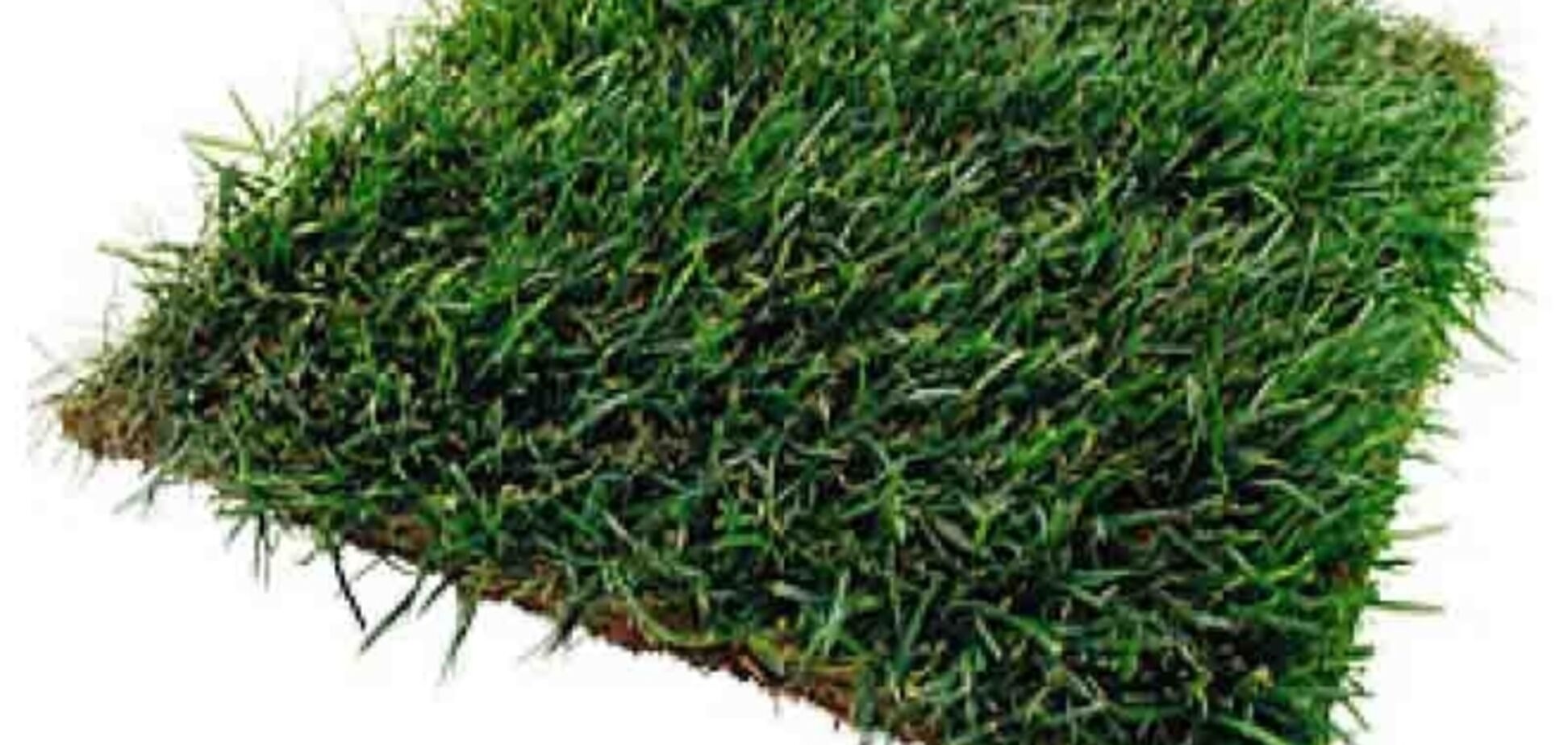 В Украине хотят снизить арендную плату за землю