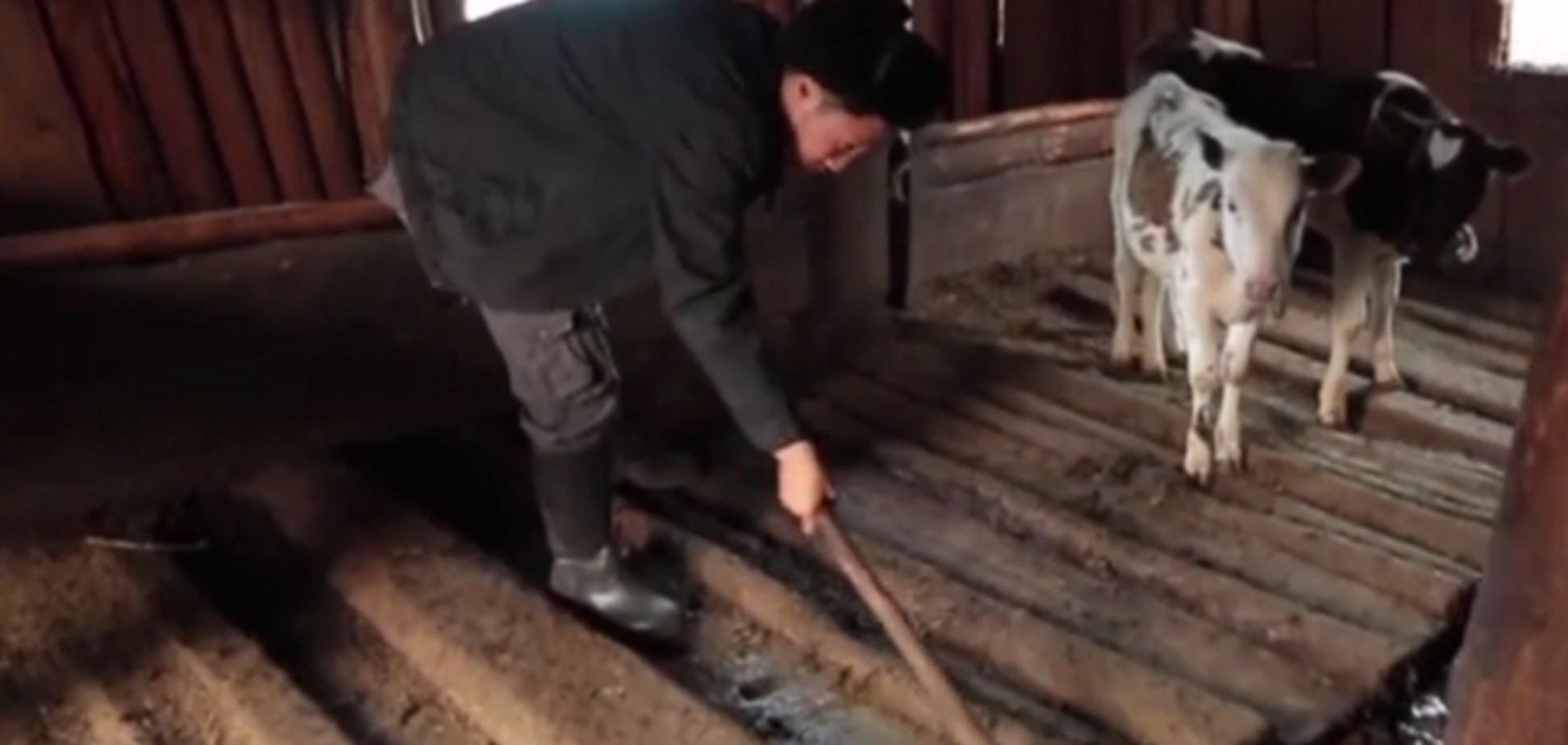 Сеть взорвал креативный якутский клип про хотон, балбах и деревню