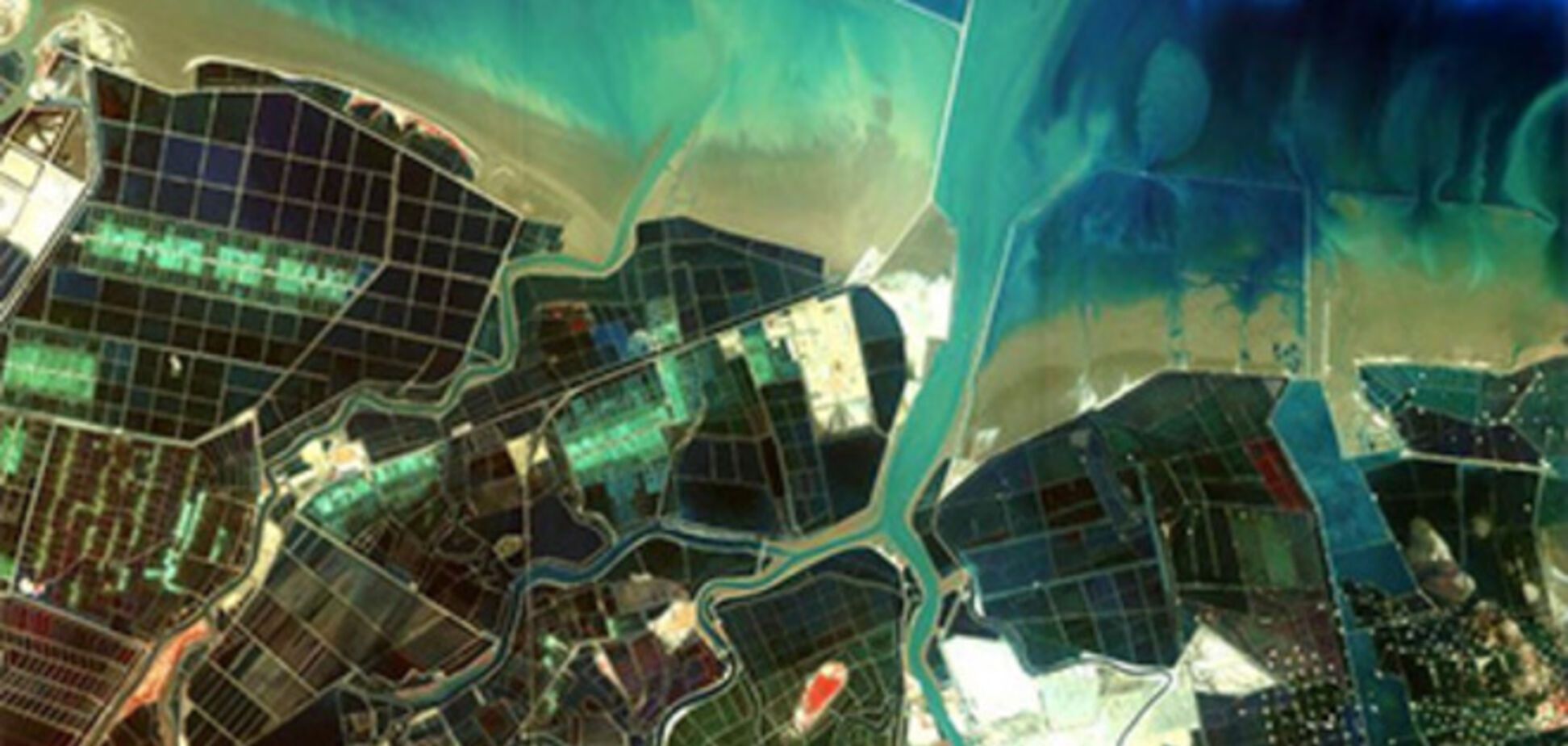 Спутник обнаружил в КНР рекордную плантацию конопли