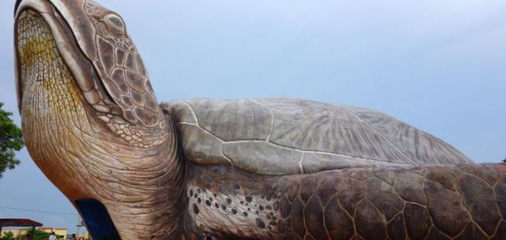 Необычные жилые здания в виде животных